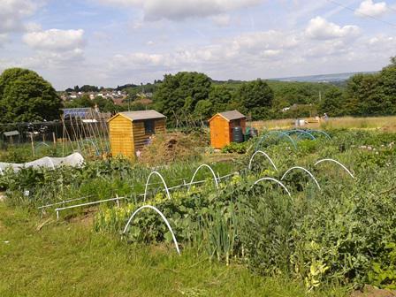 UPL_Allotment7